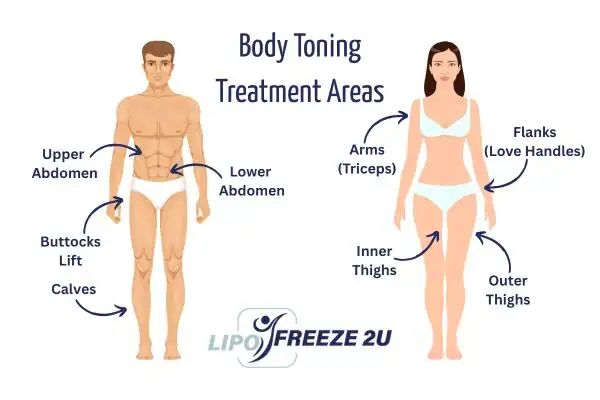 Graphic showing where you can have Body toning Treatment Loughborough on your body